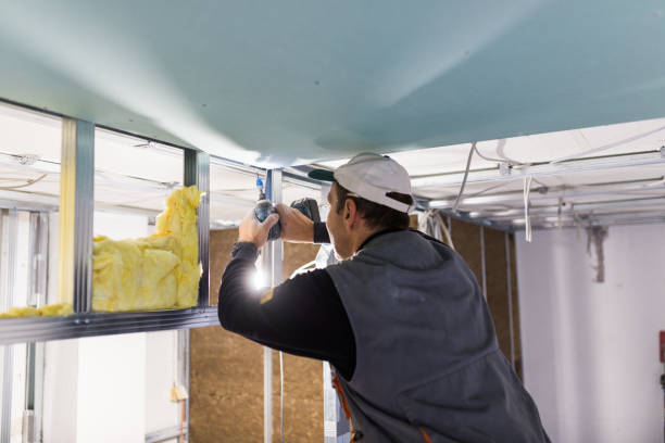 Best Geographic-Specific Insulation Services in Vail, AZ
